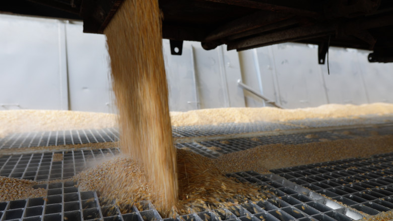 Comisia Europeana va acorda Romaniei compensatii de aproape 30 milioane de euro pentru fermierii afectati de criza cerealelor ucrainene Imagine