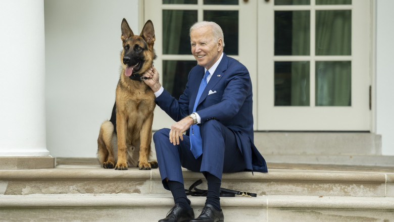Commander, cainele lui Joe Biden, i-a muscat de cel putin 24 de ori pe agentii Serviciului Secret Imagine