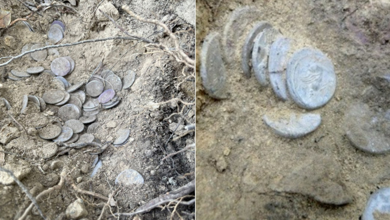 Comoara cu sute de monede romane de argint din vremea lui Iulius Cezar, descoperita in Toscana. Cui ii apartinea tezaurul Imagine