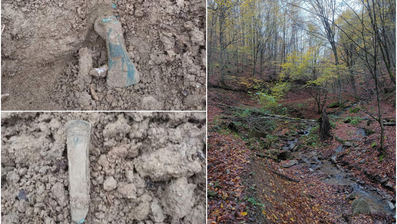 Comoara istorica gasita intr-o padure din Bihor: topoare si o lama de cutit, vechi de 3.000 de ani. "Nu doresc nicio recompensa" Imagine