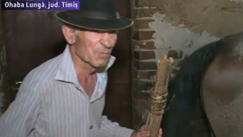 Comuna in care oamenii nu fac nimic din ceea ce, in marile orase, pare firesc: Ohaba Lunga Imagine