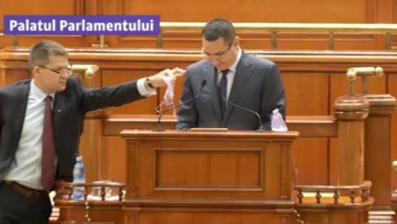 Concedieri in Camera Deputatilor, dupa incidentul provocat de Mihail Neamtu Imagine