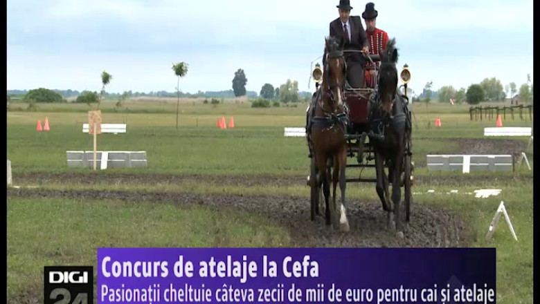 Concurs de atelaje la Cefa Imagine