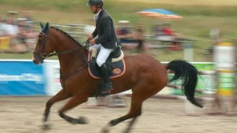 Concurs de echitatie la Cluj Imagine