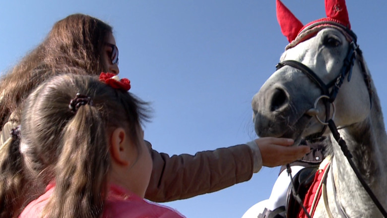 Concurs de echitatie la Iasi. Cai din cele mai frumoase rase s-au intrecut in sarituri peste obstacole Imagine