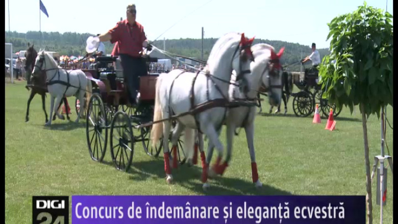 Concurs de indemanare si eleganta ecvestra Imagine