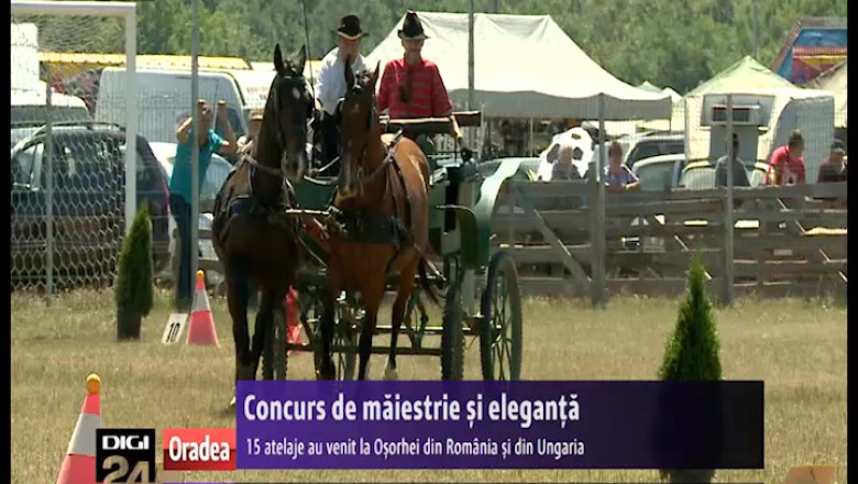 Concurs de maiestrie ecvestra: 15 atelaje s-au intrecut la Osorhei Imagine