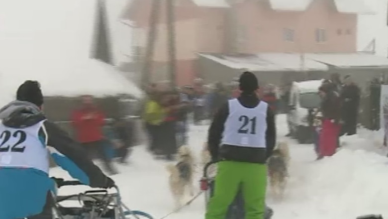Concurs de sanii trase de caini in Muntii Apuseni Imagine