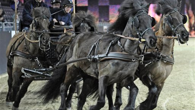 Concurs hipic la Budapesta. Zeci de calareti s-au intrecut pe o pista amenajata chiar in centrul orasului Imagine