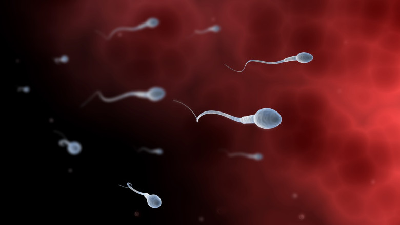 Concurs inedit organizat de adolescenti din Los Angeles care vor sa atraga atentia asupra problemelor de fertilitate masculina Imagine