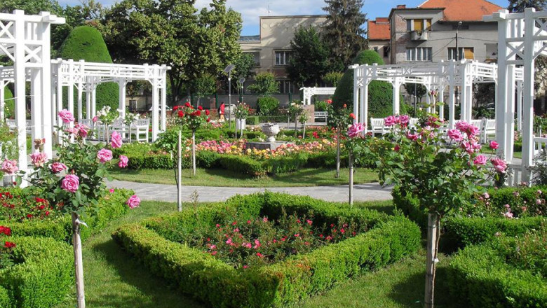 Concursul Digi24 Timisoara - 1 an: imaginea care aduce o tableta! Imagine