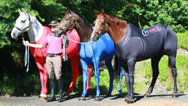 Concursuri de calarie, maraton pe munte si concerte, la zilele Rasnovului Imagine