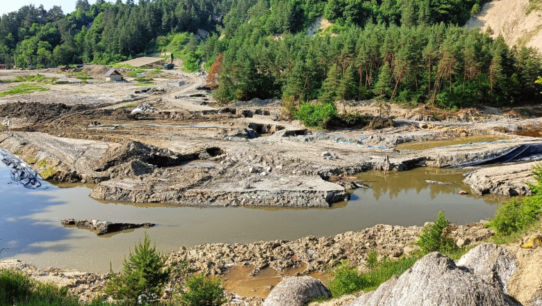 Conducerea Salrom a fost demisa, a anuntat ministrul Economiei: „Bataia de joc s-a incheiat” Imagine