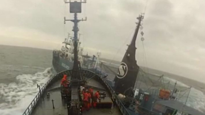 Conflict pentru salvarea balenelor. Un vapor japonez de vanatoare a lovit un vas al ecologistilor australieni Imagine