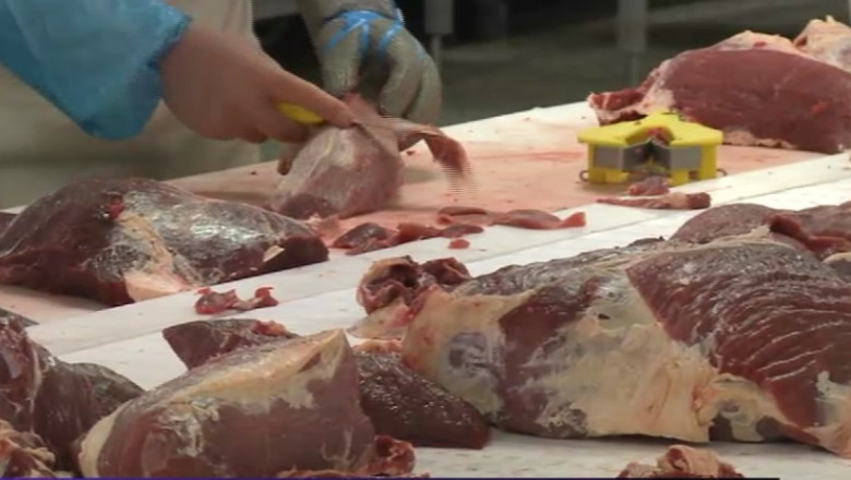 Conservele cu carne de cal erau produse de Scandia Imagine