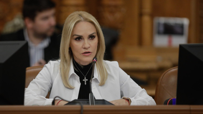 Consiliera Gabrielei Firea implicata in scandalul azilelor s-a suspendat din minister pe durata anchetei Imagine