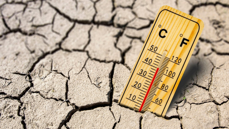 Consilierul pentru clima al presedintelui Iohannis, despre pragul critic al temperaturii globale: „Efectele vor fi ireversibile” Imagine