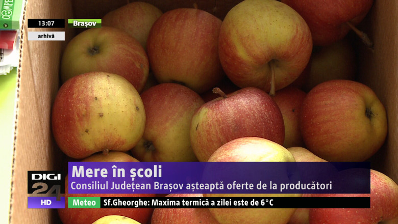 Consiliul Judetean Brasov asteapta oferte de la producatori pentru distributia merelor in scoli Imagine