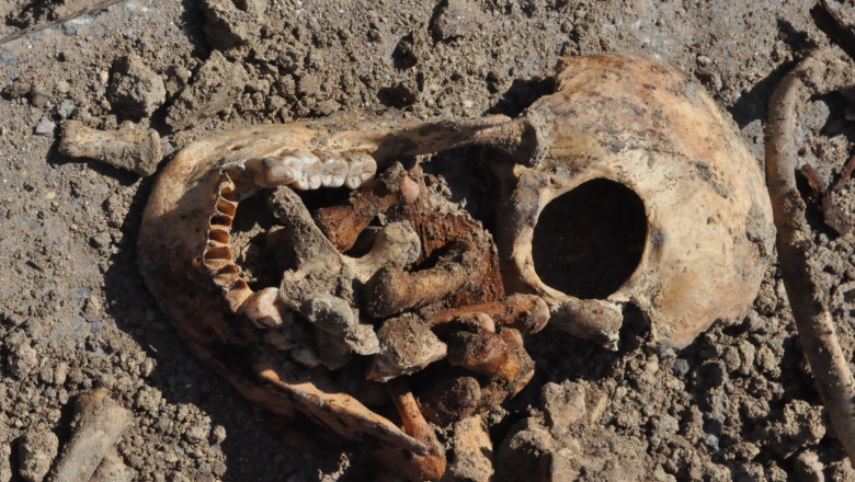 Constanta: Oseminte umane antice descoperite in timpul unor lucrari de inlocuire a tevilor de apa   Imagine