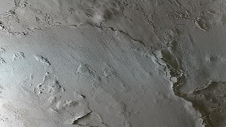 CONSTANTA. Seminar international in sali inundate si cu tencuiala cazuta Imagine