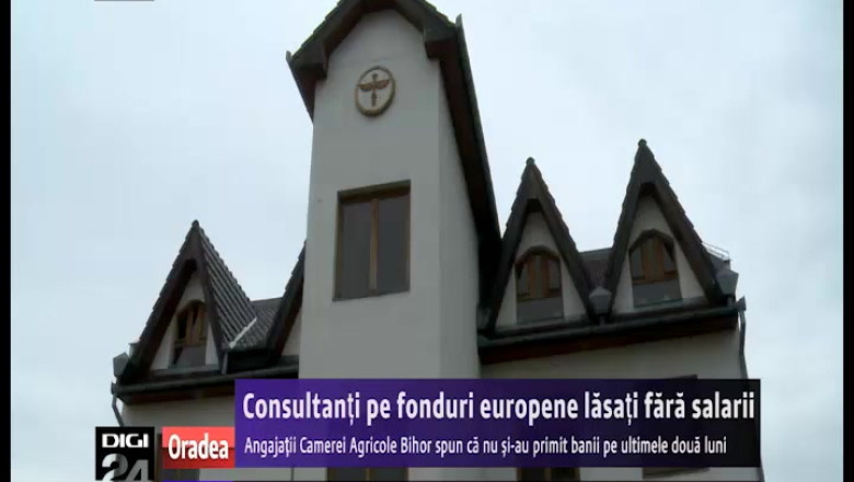 Consultanti pe fonduri europene, fara salarii Imagine