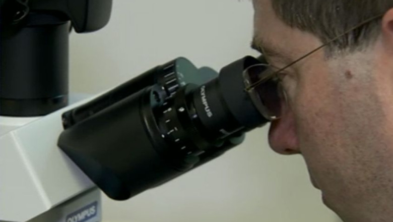 Consultatii gratuite anticancer pentru elevii din judetul Bihor Imagine