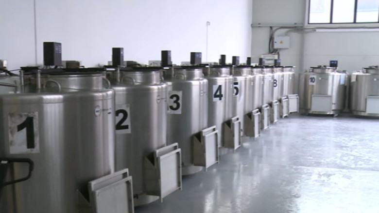 Contracte schimbate brusc de o banca de celule stem. Temerile parintilor si explicatiile conducerii companiei Imagine