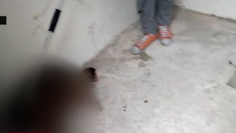 Controale ANSVSA in adaposturile de caini fara stapan Imagine