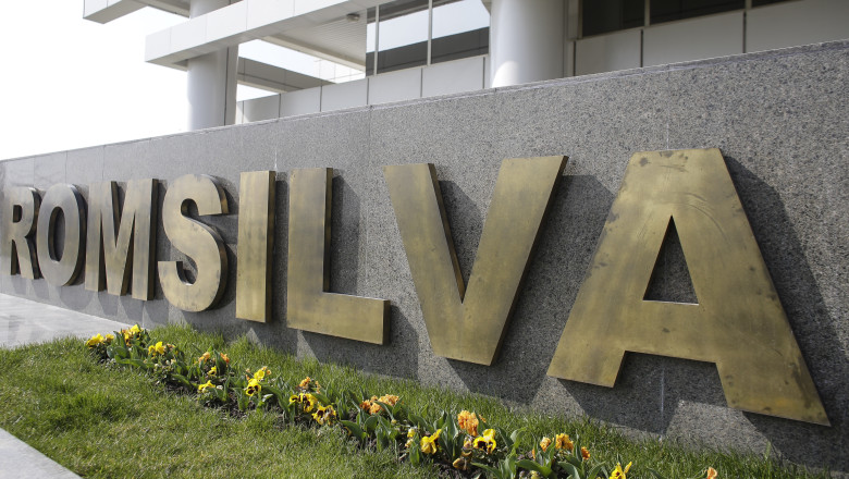 Control la Romsilva: pierderi financiare mari la sase directii silvice, cinci ani la rand. Raportul a fost trimis Parchetului General Imagine