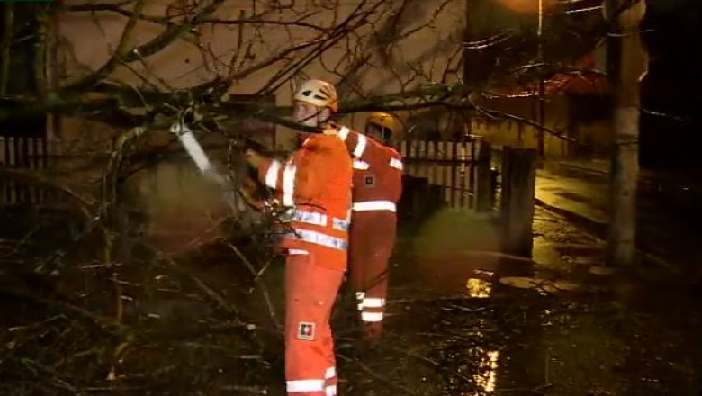 Copac doborat de vant, la Cluj-Napoca Imagine