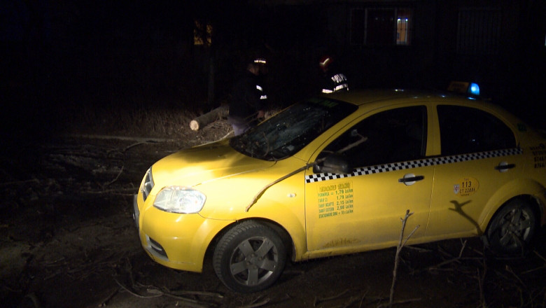 Copac prabusit peste o masina. Soferul nu a fost ranit, dar s-a ales cu parbrizul masinii spart Imagine