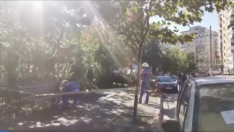 Copaci cazuti pe masini si retele electrice. ISU intervine in Bucuresti, Ilfov si Constanta ca urmare a vantului puternic Imagine
