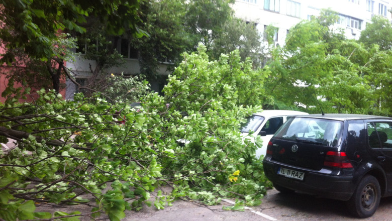 Copaci cazuti peste masini Imagine