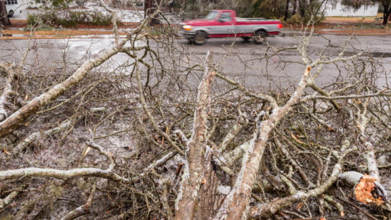 Copaci de gheata cad pe sosea Imagine