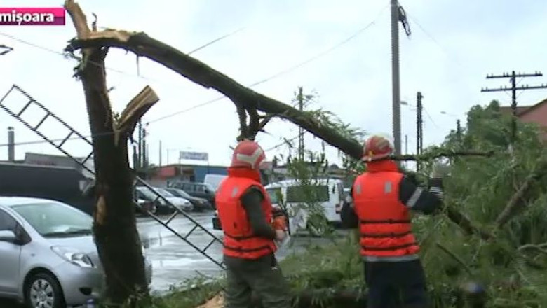 Copaci doborati de furtuna in vestul tarii. In judetul Arad, un barbat si-a pierdut viata Imagine