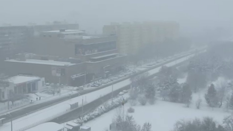 Copaci doborati de vant, in Bucuresti. 11 masini au fost avariate Imagine