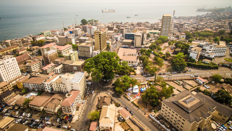 Copacul simbol din Sierra Leone, vechi de sute de ani si prezent pe bancnote, a fost doborat de o furtuna violenta Imagine