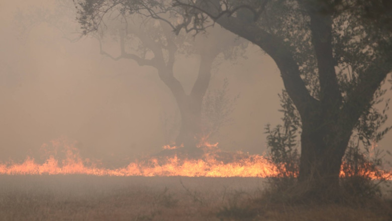 Copernicus: Incendiul de vegetatie de la Alexandroupolis este „cel mai grav de pe teritoriul european din ultimii ani” Imagine
