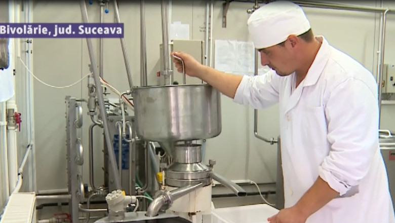 Copiii de la o scoala speciala din Suceava si-au deschis o afacere profitabila Imagine