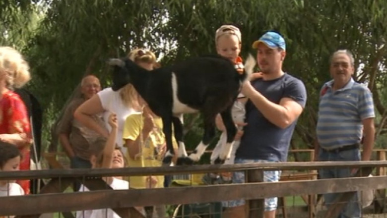 Copiii de la oras, in weekend la „Ferma Animalelor” Imagine