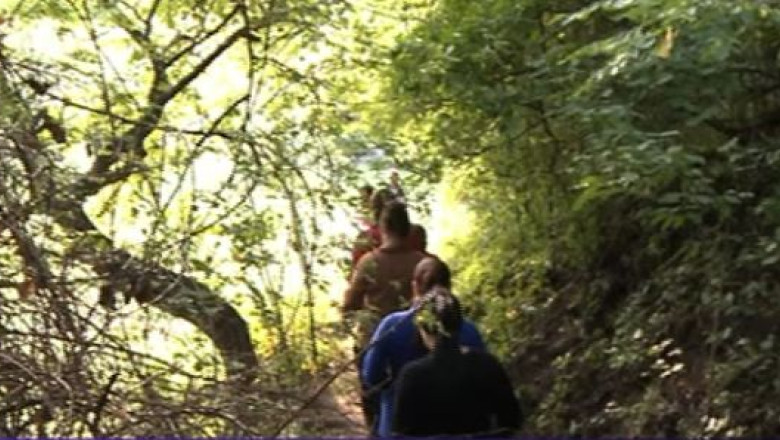 Copiii din Varfuri, unde trei oameni au fost atacati de o ursoaica, se tem sa mai mearga la scoala Imagine