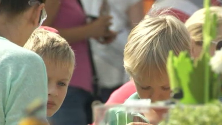 Copiii invata sa faca afaceri Imagine