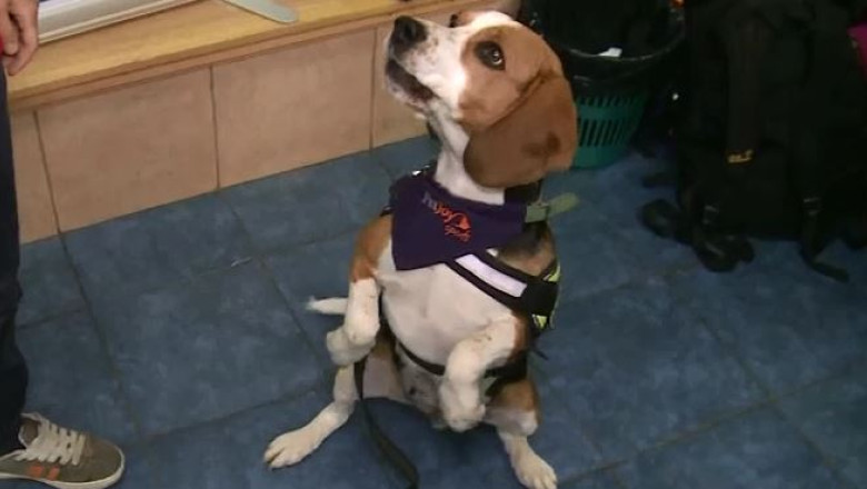 Copiii si-au facut prieteni noi, de ziua lor Imagine