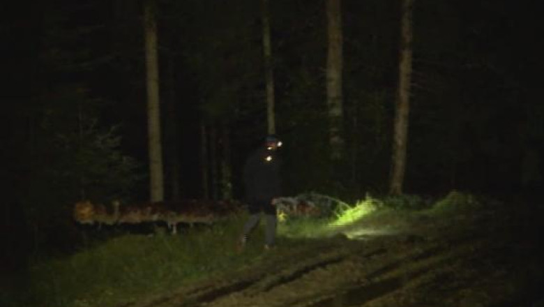 Copilul disparut in Suceava a fost gasit. A dormit in padure, la 5 grade Celsius Imagine