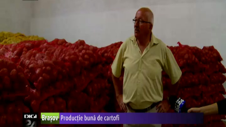 COVASNA. Agricultorii au obtinut o productie buna la cartofi, anul acesta Imagine