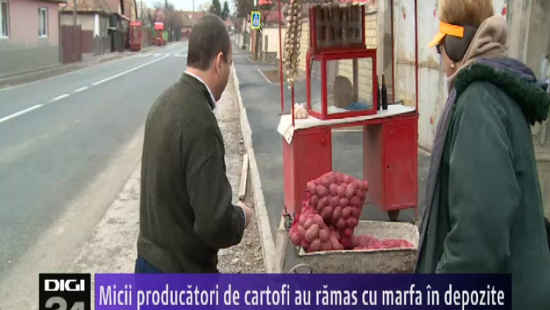 COVASNA. Micii producatori de cartofi au ramas cu marfa in depozite  Imagine