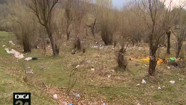 COVASNA. Viata berzelor, online Imagine