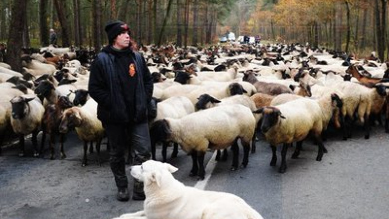 Cozi pentru subventii. Fermierii din zonele defavorizate isi depun dosarele pe ultima suta de metri  Imagine