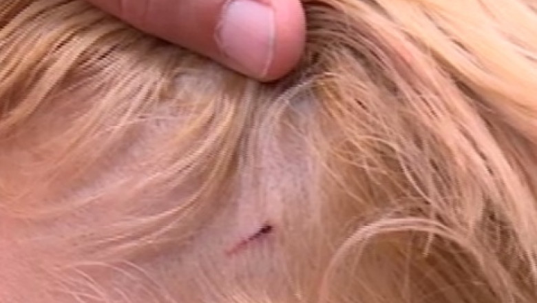 CRAIOVA. Un barbat cu probleme psihice isi ataca zilnic vecinii Imagine