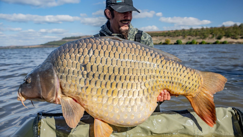 Crap urias prins intr-un lac din judetul Bacau Imagine